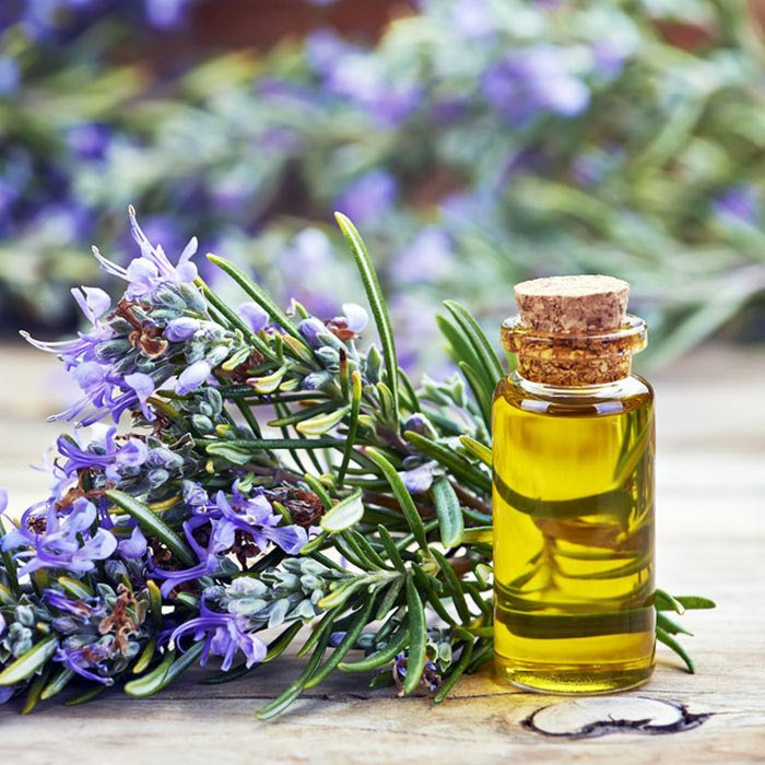 Harnessing the Power of Diluted Rosemary Oil: A Comprehensive Guide
